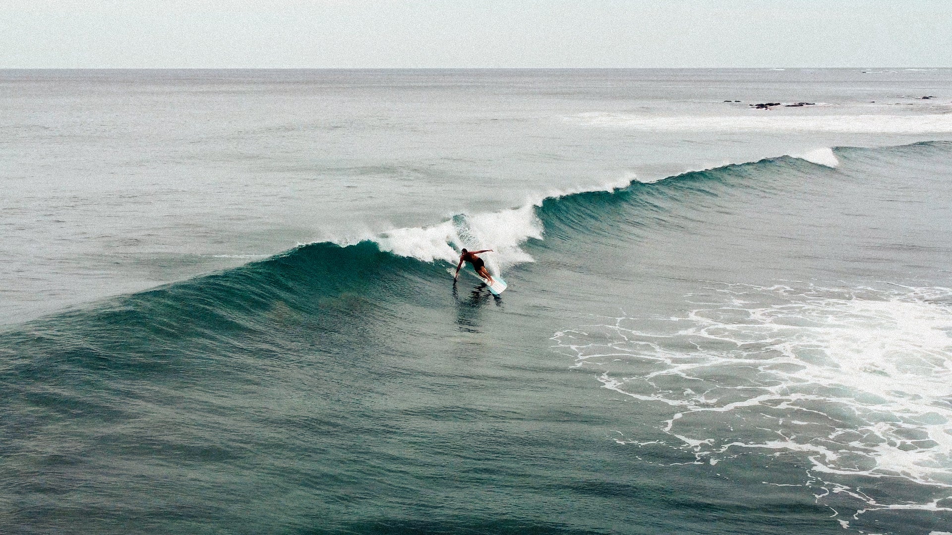 Surftech Renaissance Roger Hinds - Tufflite - 9'4