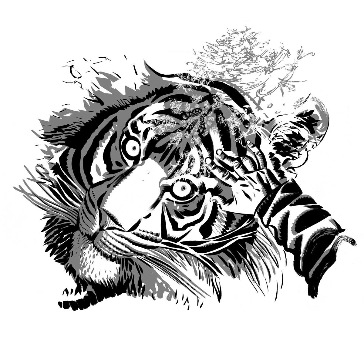 Tyger: Exclusive Edition (Paperback)