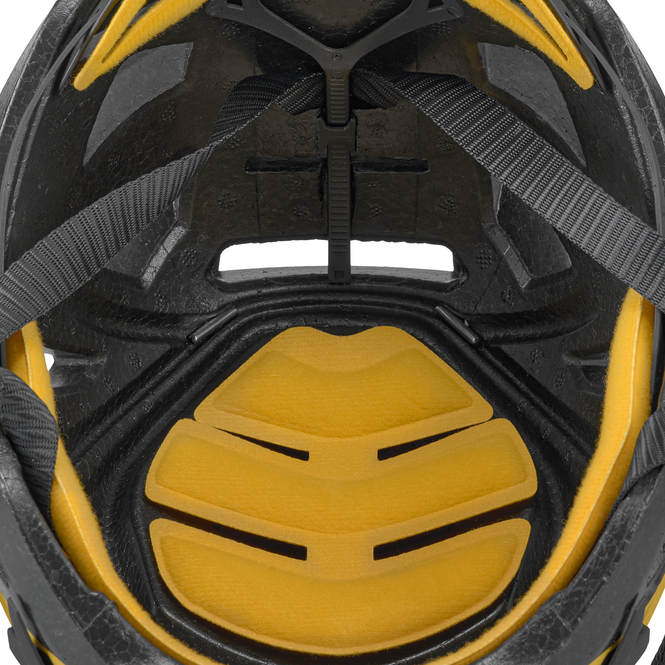 Aria Helm
