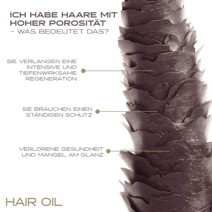 Nanoil Haaröl High Porosity Hair, 100 ml