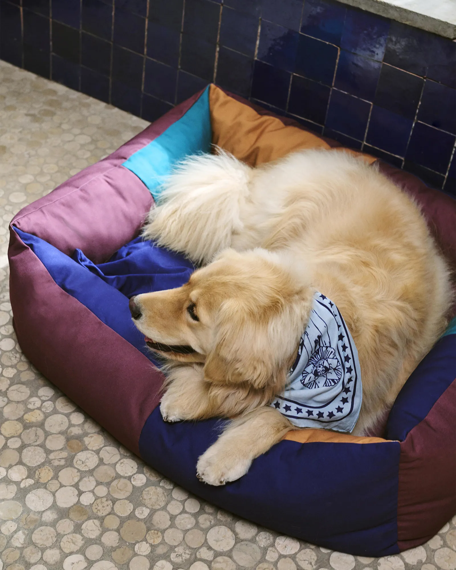 HAY HAY Dogs Bed