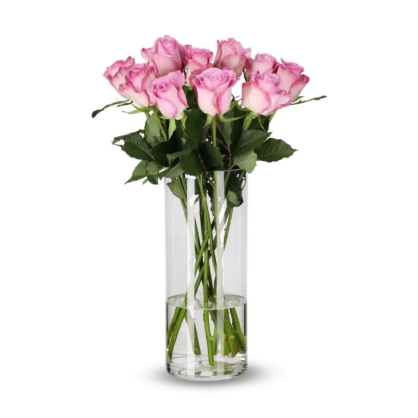 Roser 10 pk Høyde 50 cm