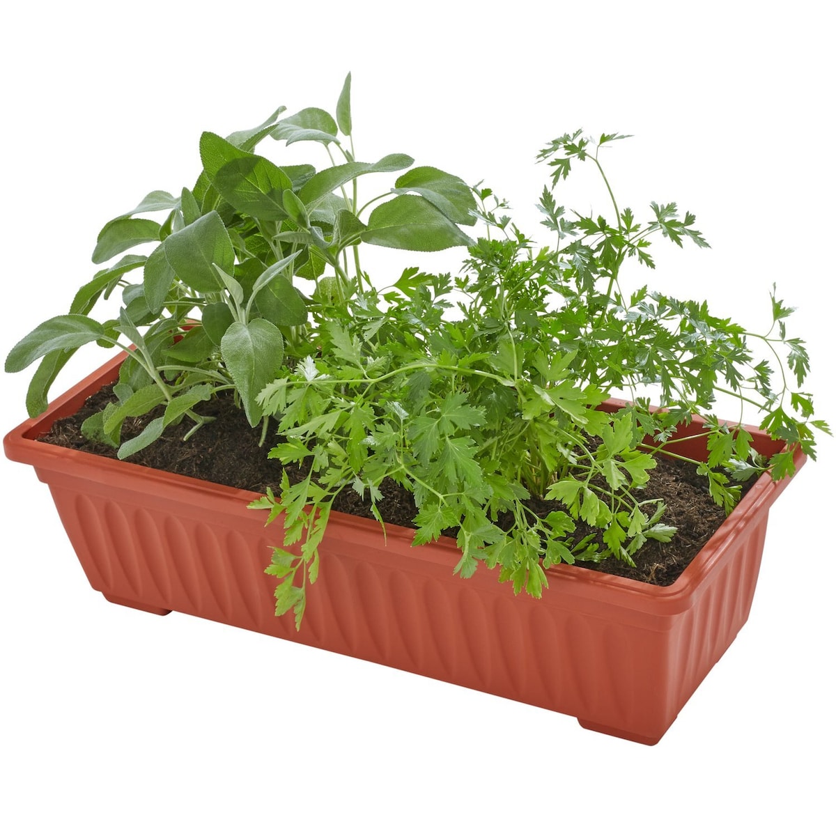 Vertikal blomsterkasse med 4 kasser 52x21x127cm - brun