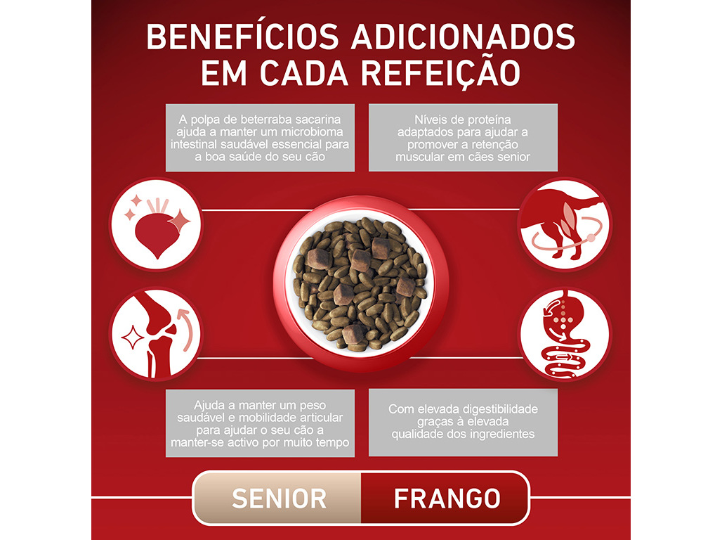 RAÇÃO PARA CÃO PURINA ONE MINI SÉNIOR COM FRANGO E ARROZ 800G