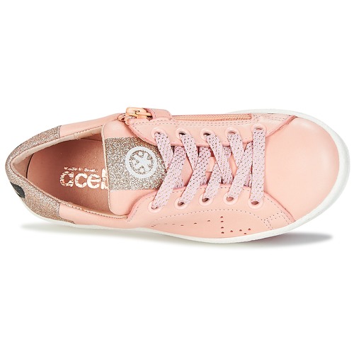 Acebo's - VEMULTIT Rosa