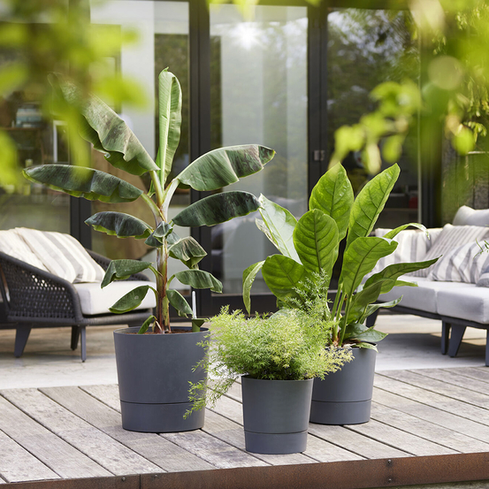 Pot Greensense Aqua Care ciment rond, avec réservoir d'eau - D.43cm
