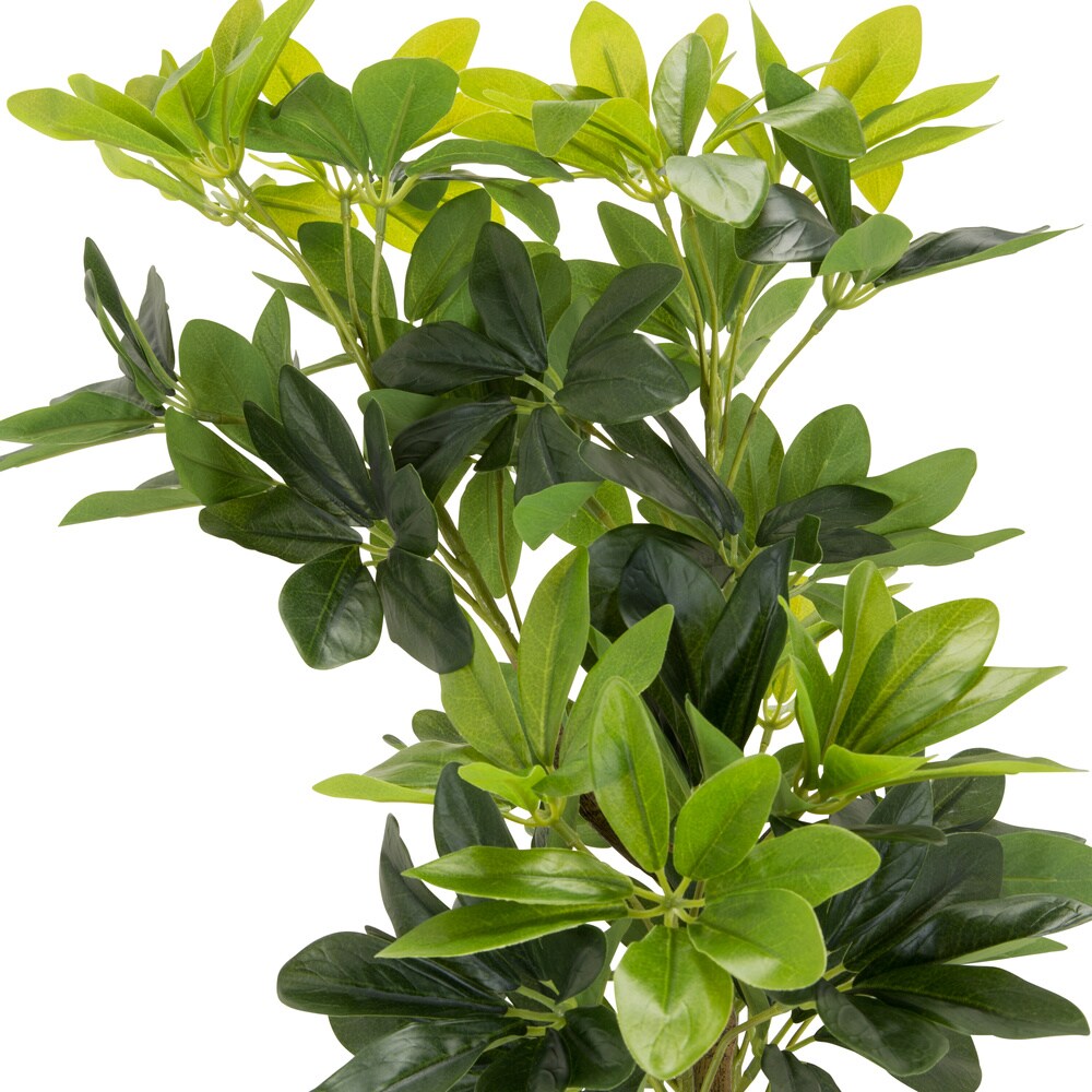Kunstpflanze SCHEFFLERA Kunststoff, Stoff hjh OFFICE