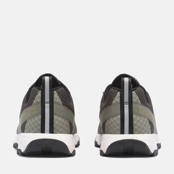 Basket basse à lacets Winsor Trail pour homme en vert