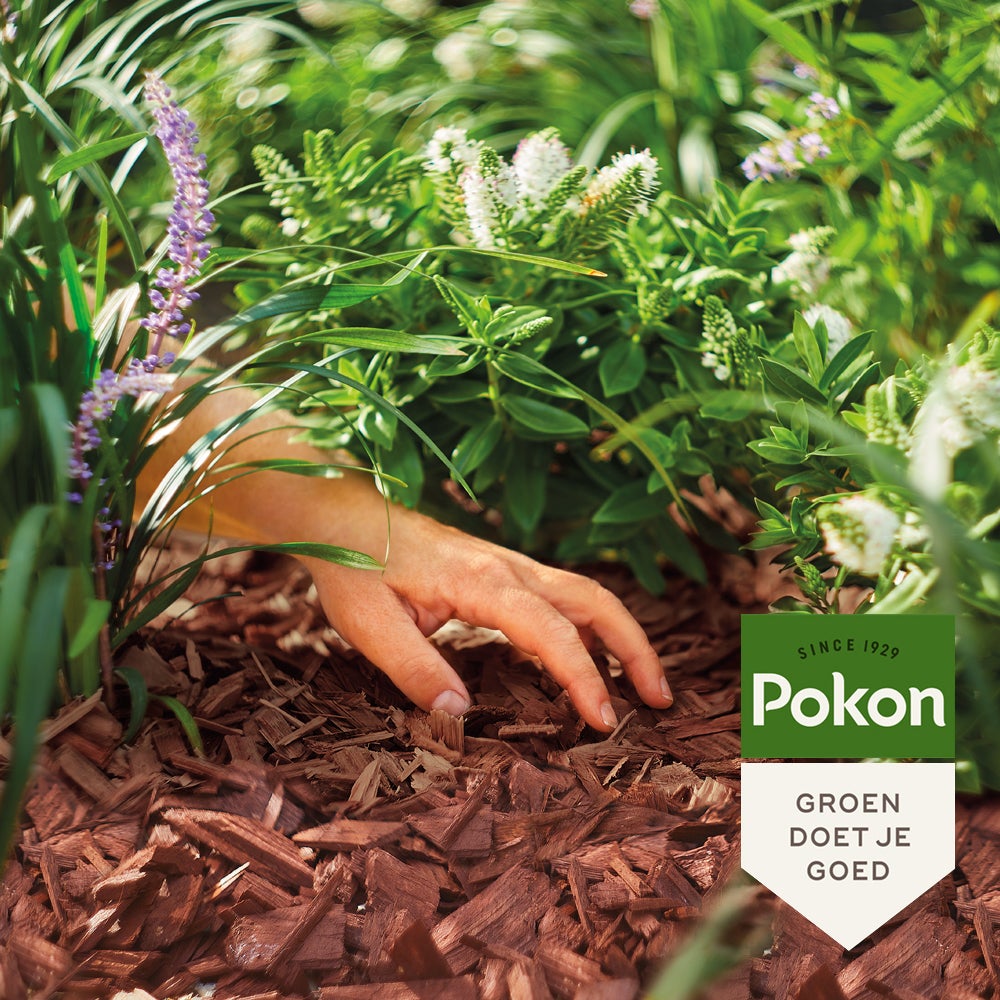 Pokon Houtsnippers Cacaobruin 45 L