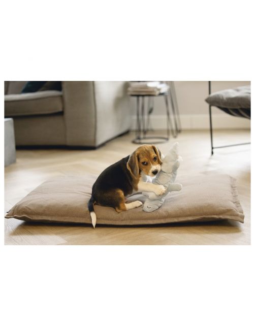 Beeztees Puppy Krokodil Jake - Hondenspeelgoed - 32x18x8 cm 65 g Groen
