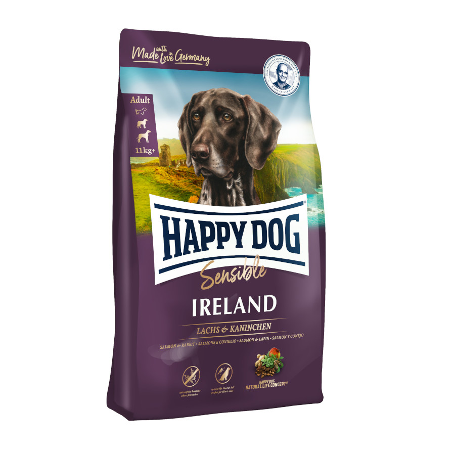 Cachorro Feliz Adulto Sensato Irlanda Eu acho