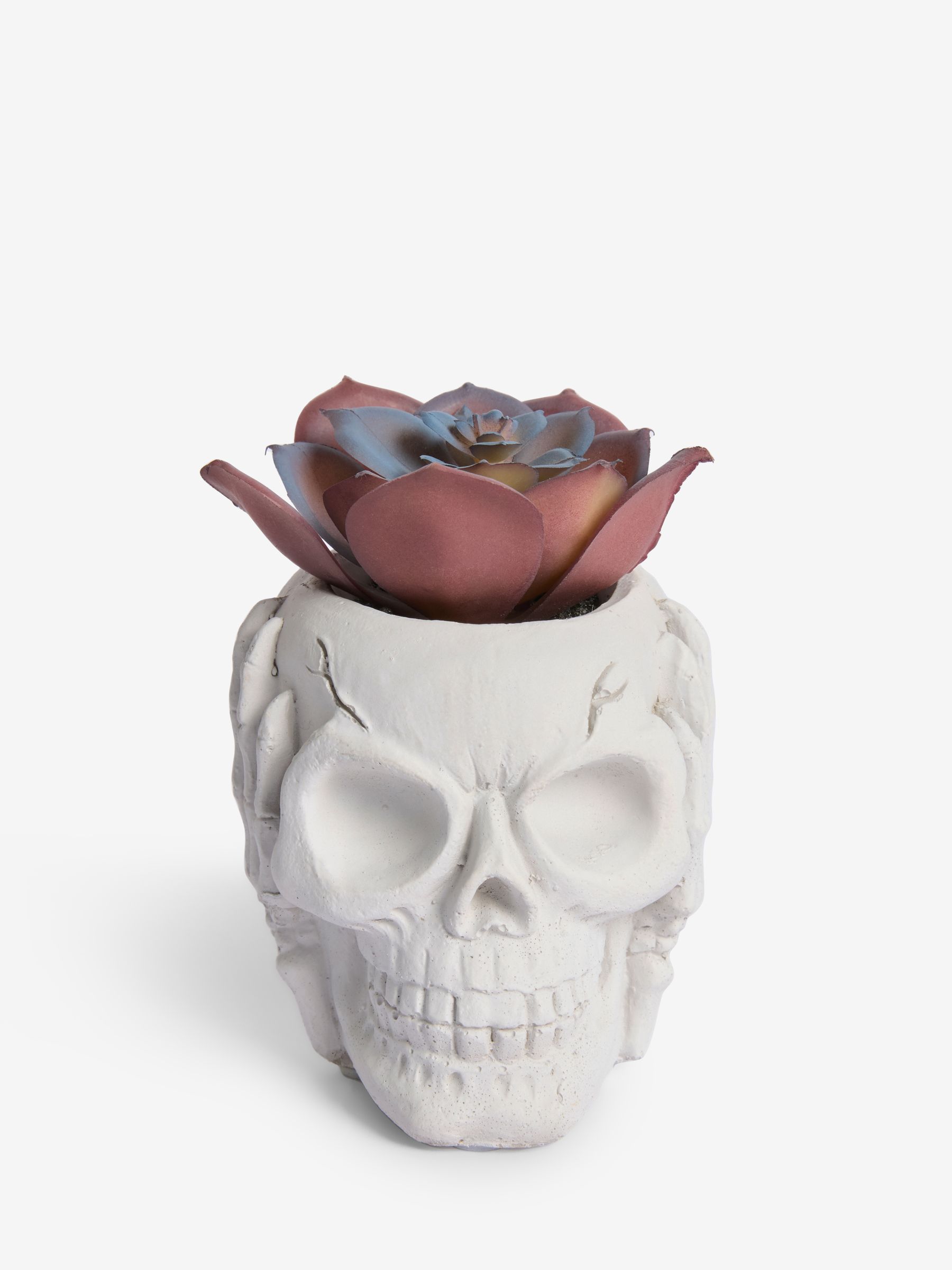 Kunstvetplant in een griezelige Halloween-schedel