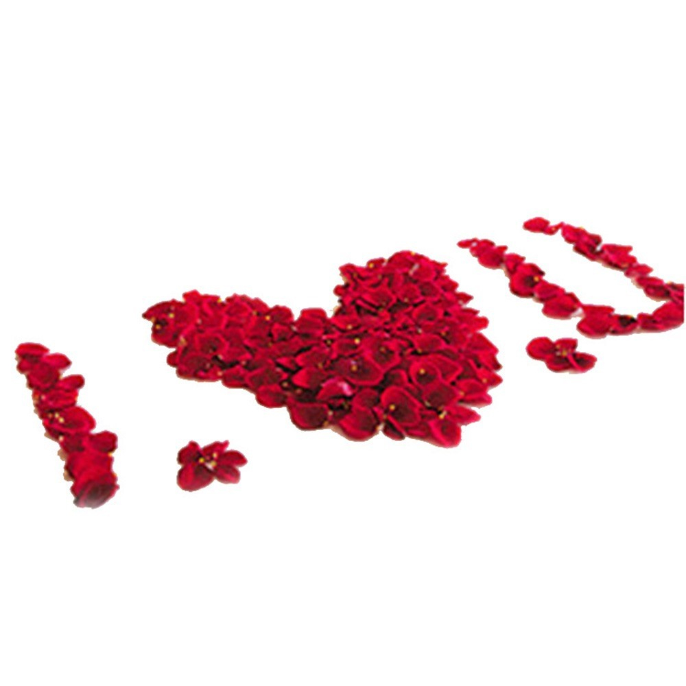 (1000er Set) Romantische Rosenblätter Blumenblüten Party Deko für Hochzeiten / Party - Pink / Weiss