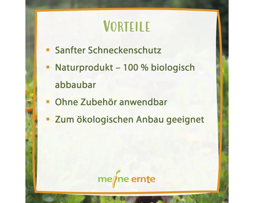 Slakkenbescherming voor mijn oogst: Slakkenbescherming van 100% schapenwol, gifvrij, los, ca. 75 g, voor ca. 12-15 planten.