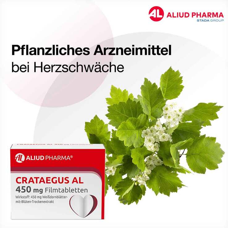 CRATAEGUS AL 450 mg Filmtabletten, 100 St