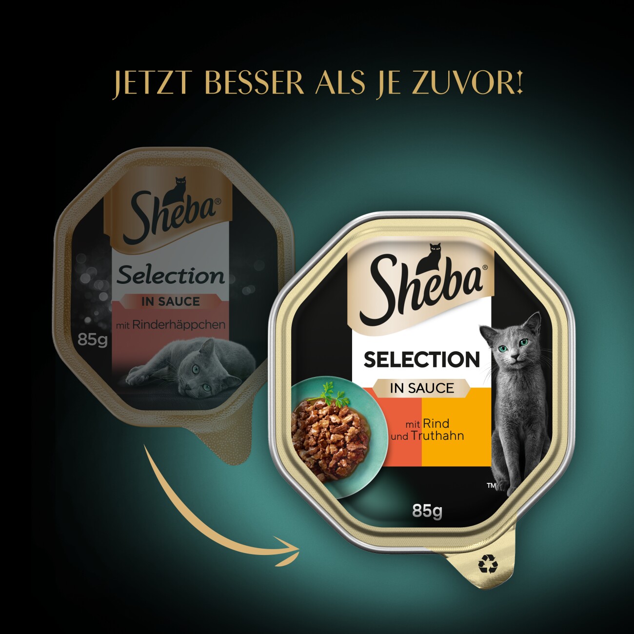 Sheba Selection in Sauce 22x85 g Rind und Truthahn