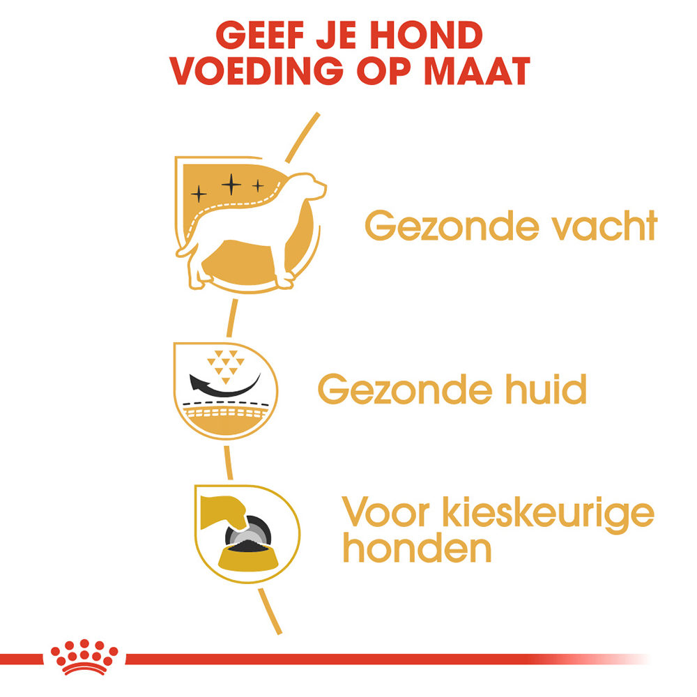 Royal Canin West Highland White Terrier Adult - Hondenvoer