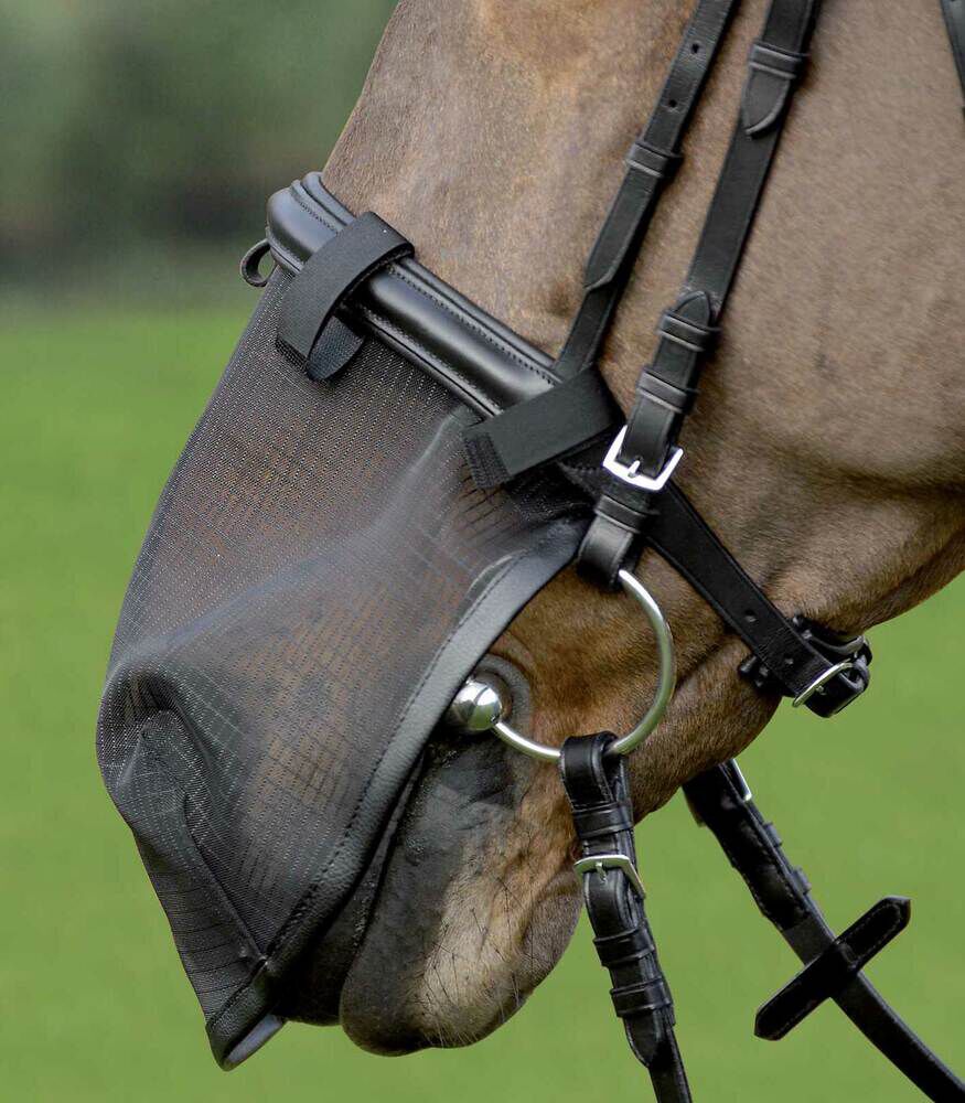Waldhausen - Neusnetje - Zwart - Pony