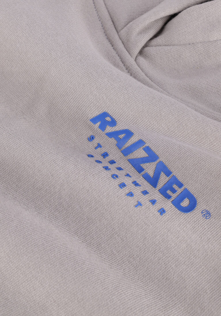RAIZZED grijze raizzed sweater warren