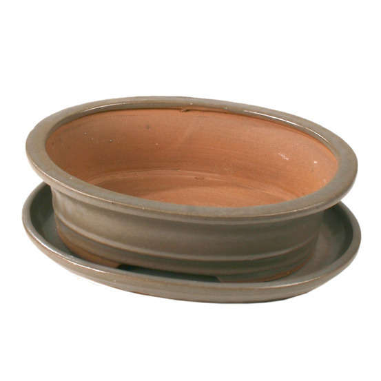Poterie bonsaï + soucoupe, en terre cuite émaillée L. 21 x l. 17 cm