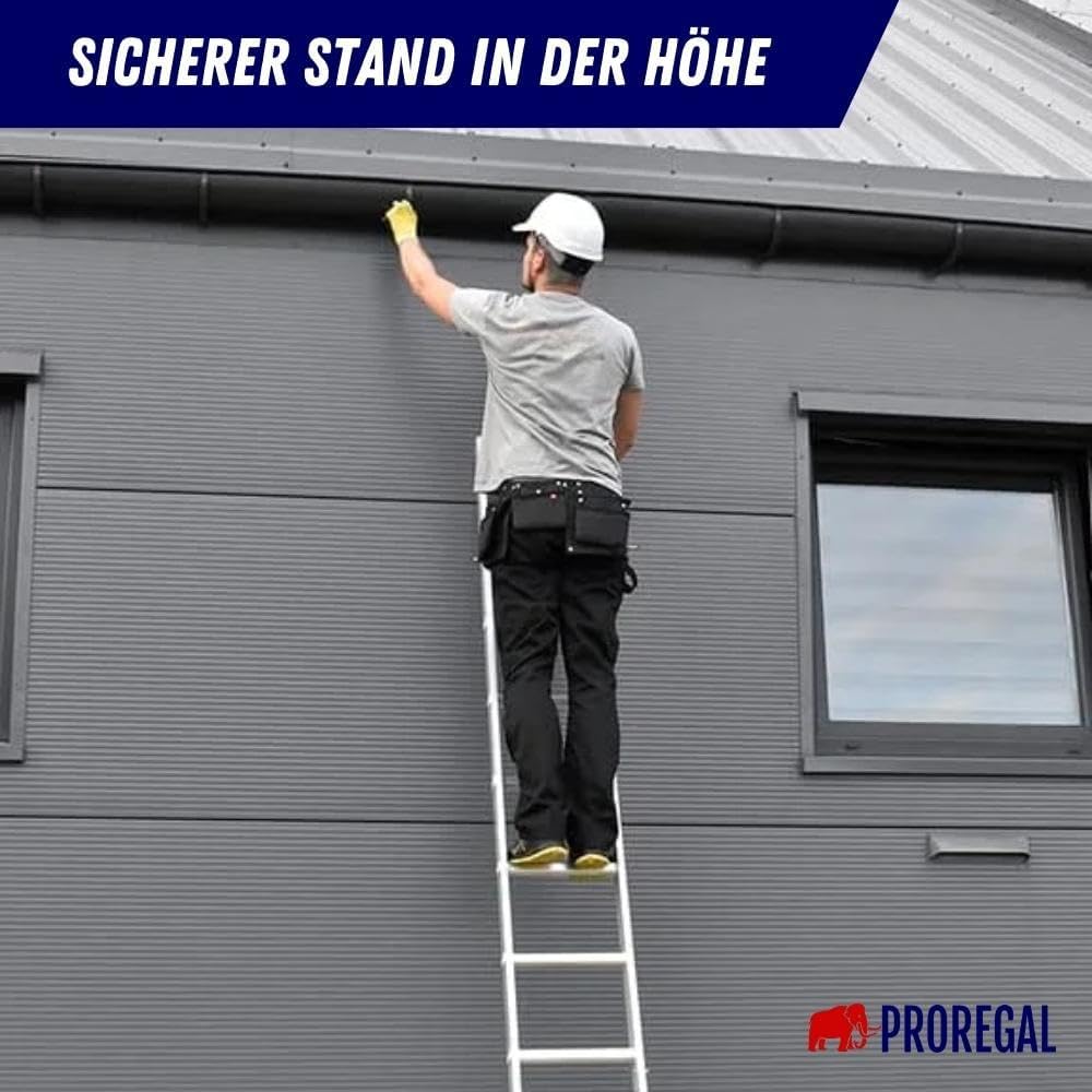 PROREGAL Economy Plus sportschuifladder zonder dwarsbalk, 9 sporten, werkhoogte 3,46 m, draagvermogen 150 kg