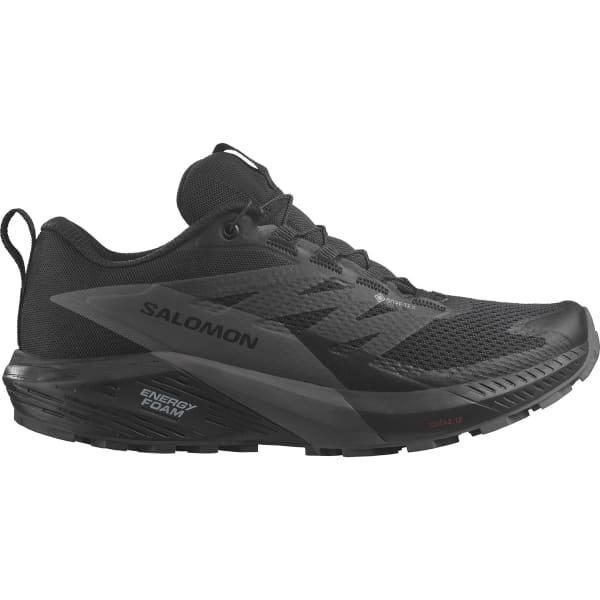 Chaussure trail SALOMON SENSE RIDE 5 GTX W BLACK/MAGNET/BLACK