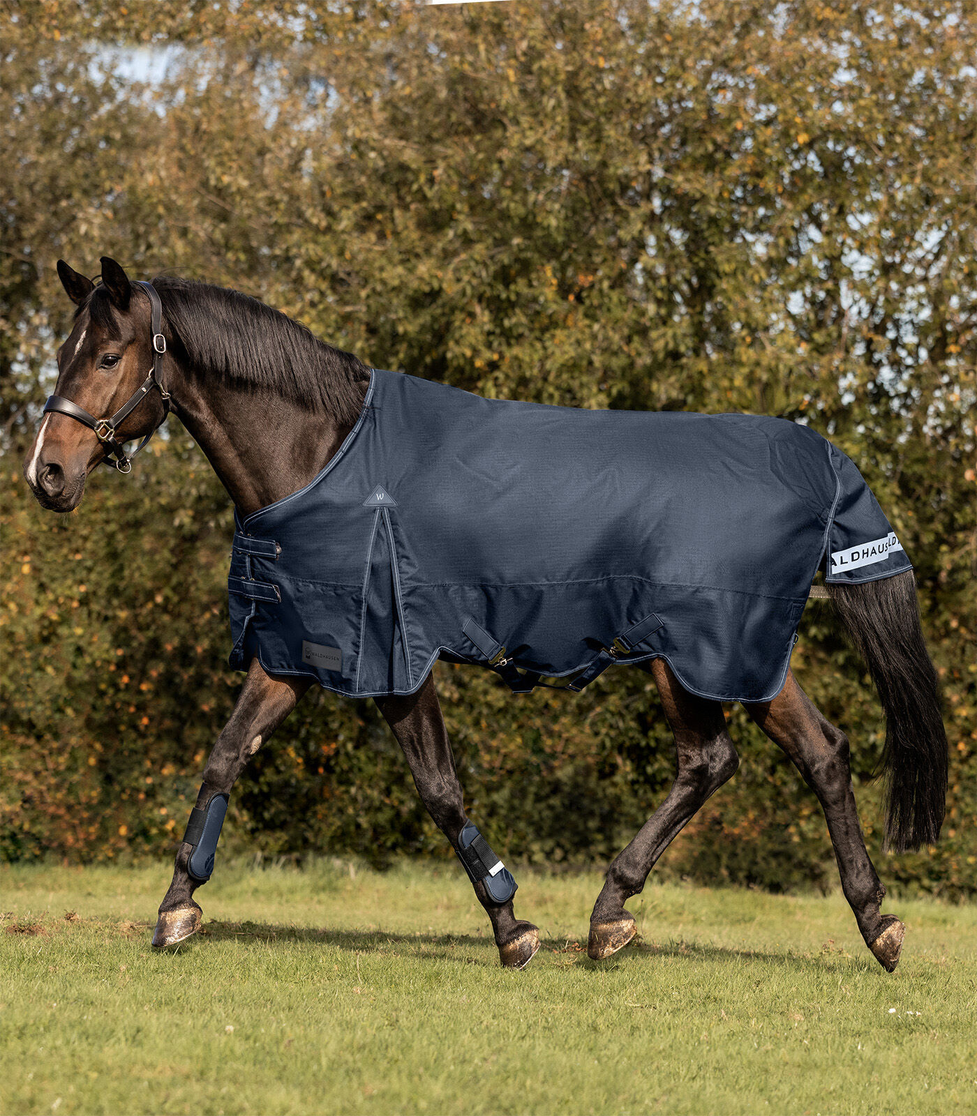 Waldhausen Arctic 200 gr - Winterdeken - Paardendeken - Blauw - 155/205