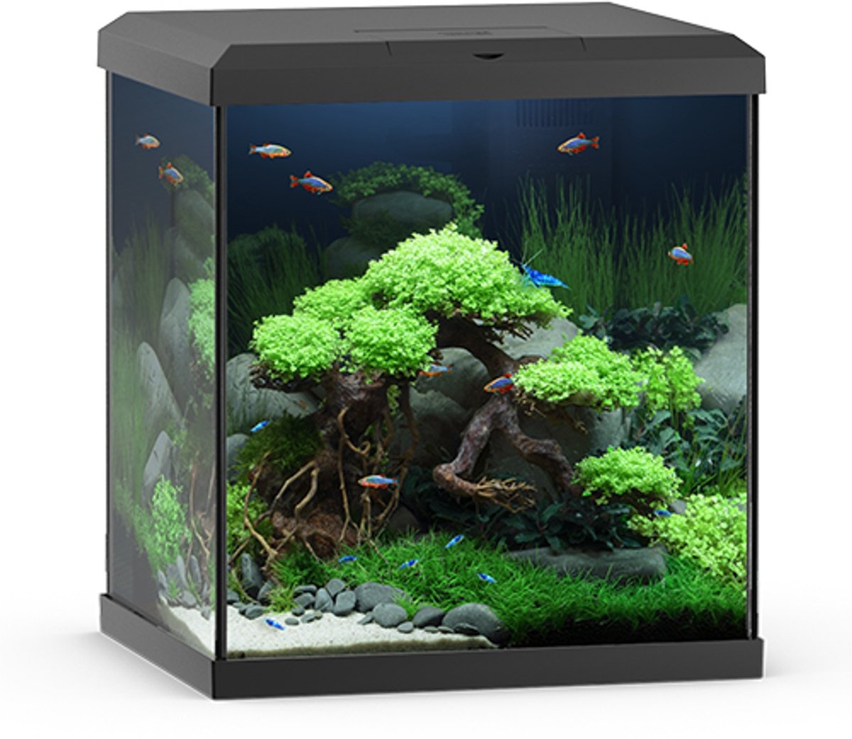 Juwel Vio Cube 54 Zwart