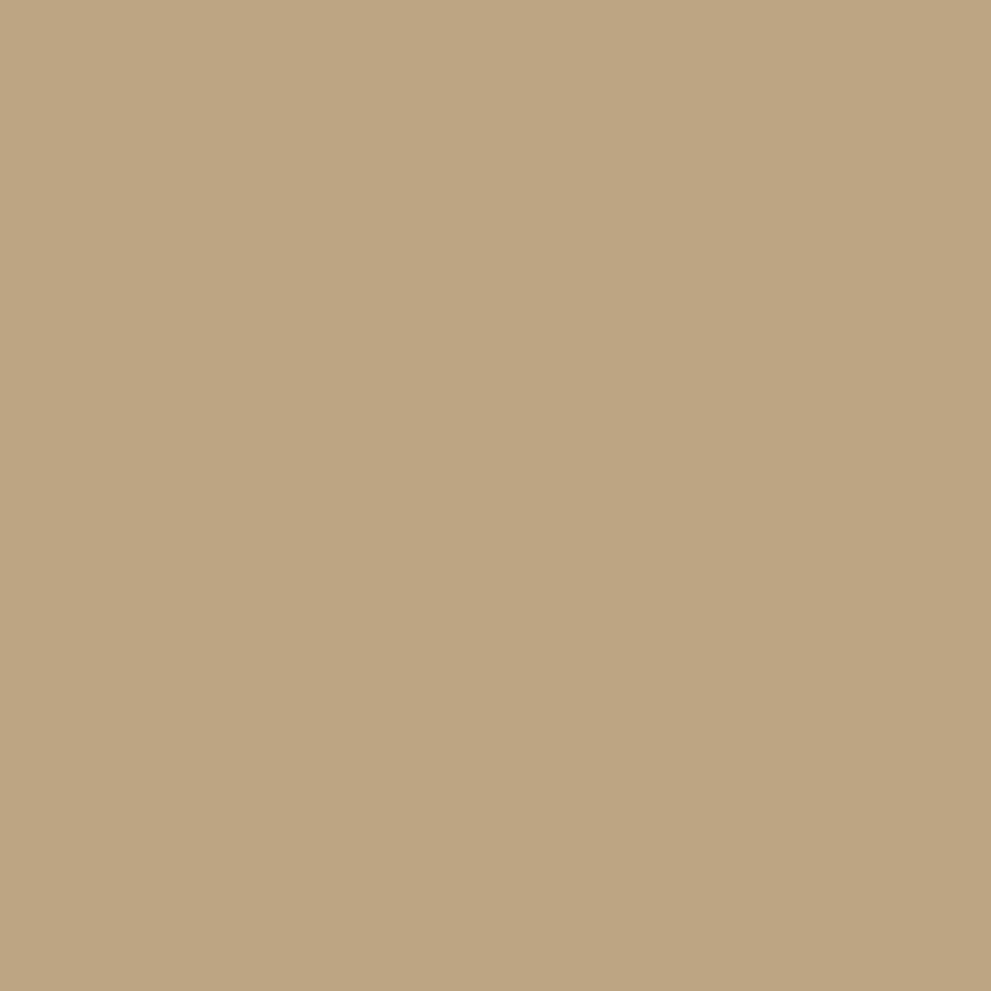 Anastasia Beverly Hills Tinted Brow Gel Blonde 9g