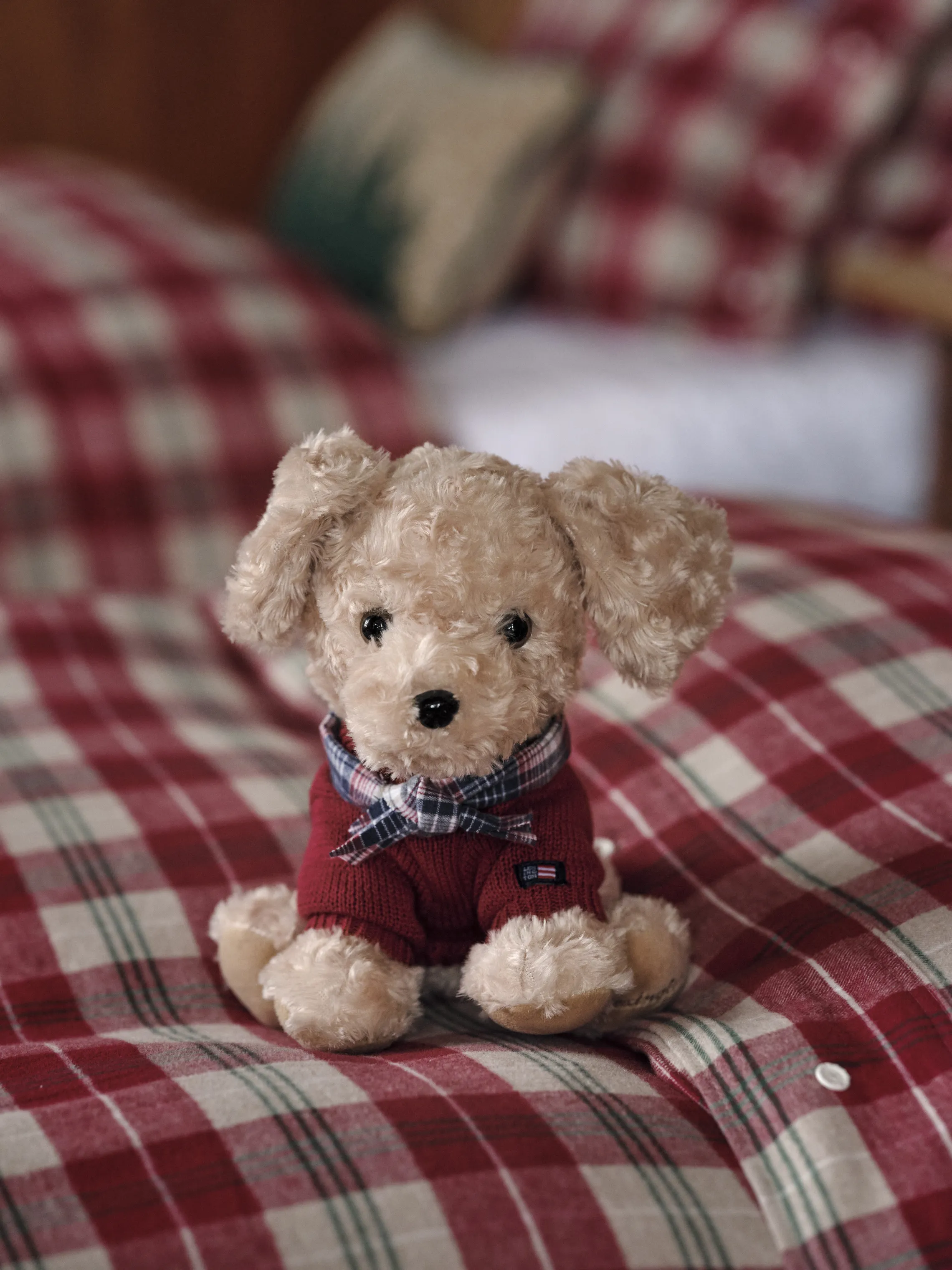 Lexington Bamse - Hund