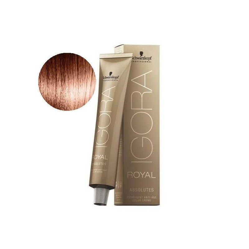 Igora Royal Absolutes 6-70 Blond Foncé Cuivré Naturel 60 ML