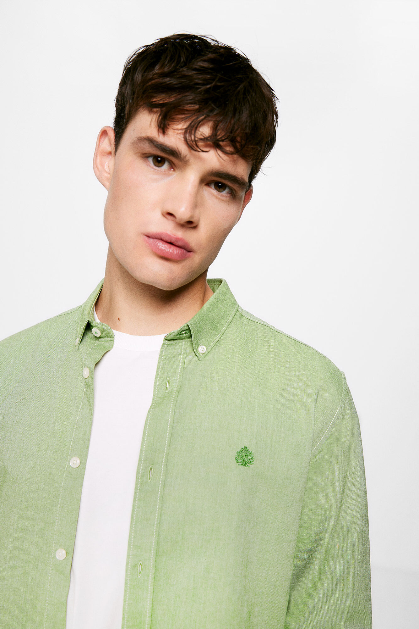 Cor da camisa Oxford