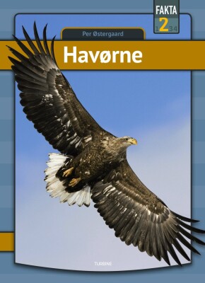 Havørne - Per Østergaard - Bog