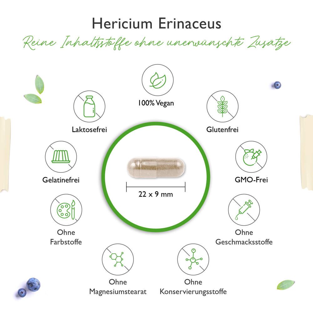 vit4ever Hericium Erinaceus Intenso Pilz