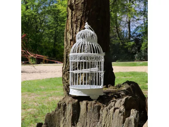 Cage à oiseaux décorative ancienne métal blanc ø21x48cm