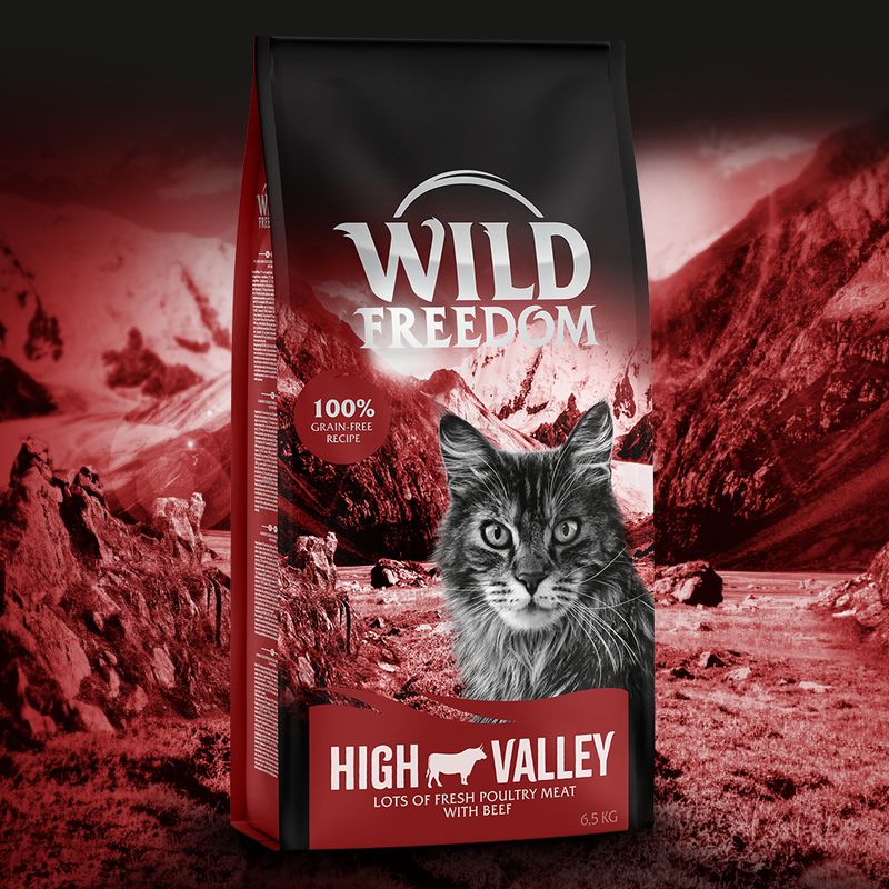 Wild Freedom Adult High valley, bœuf