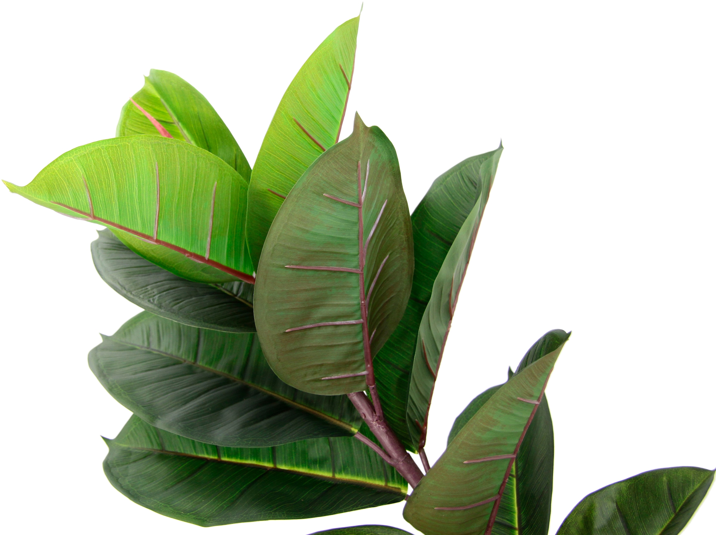 I.GE.A. Kunstbaum »Gummibaum« Mit Übertopf, Ficus Elastica