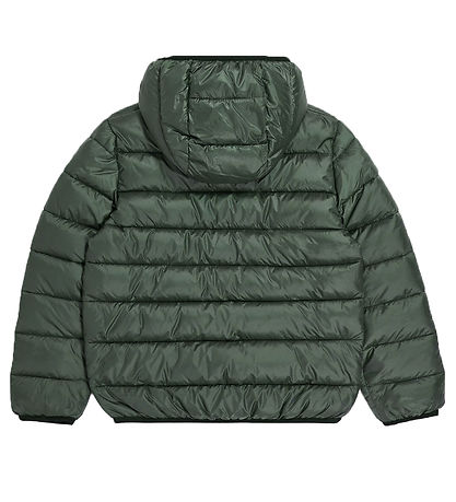 Champion Steppjacke - Umkehrbar - Schwarz/Grün