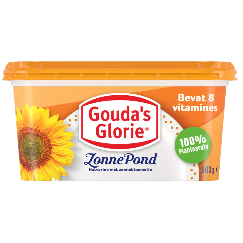 Gouda's Glorie Zonnepond