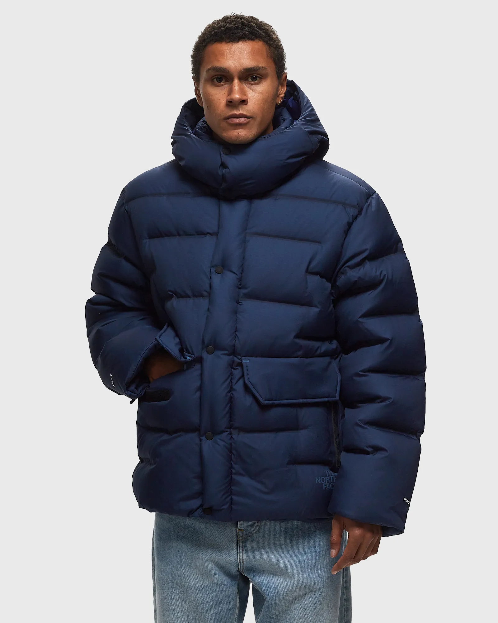 The North Face Rmst Sierra Parka