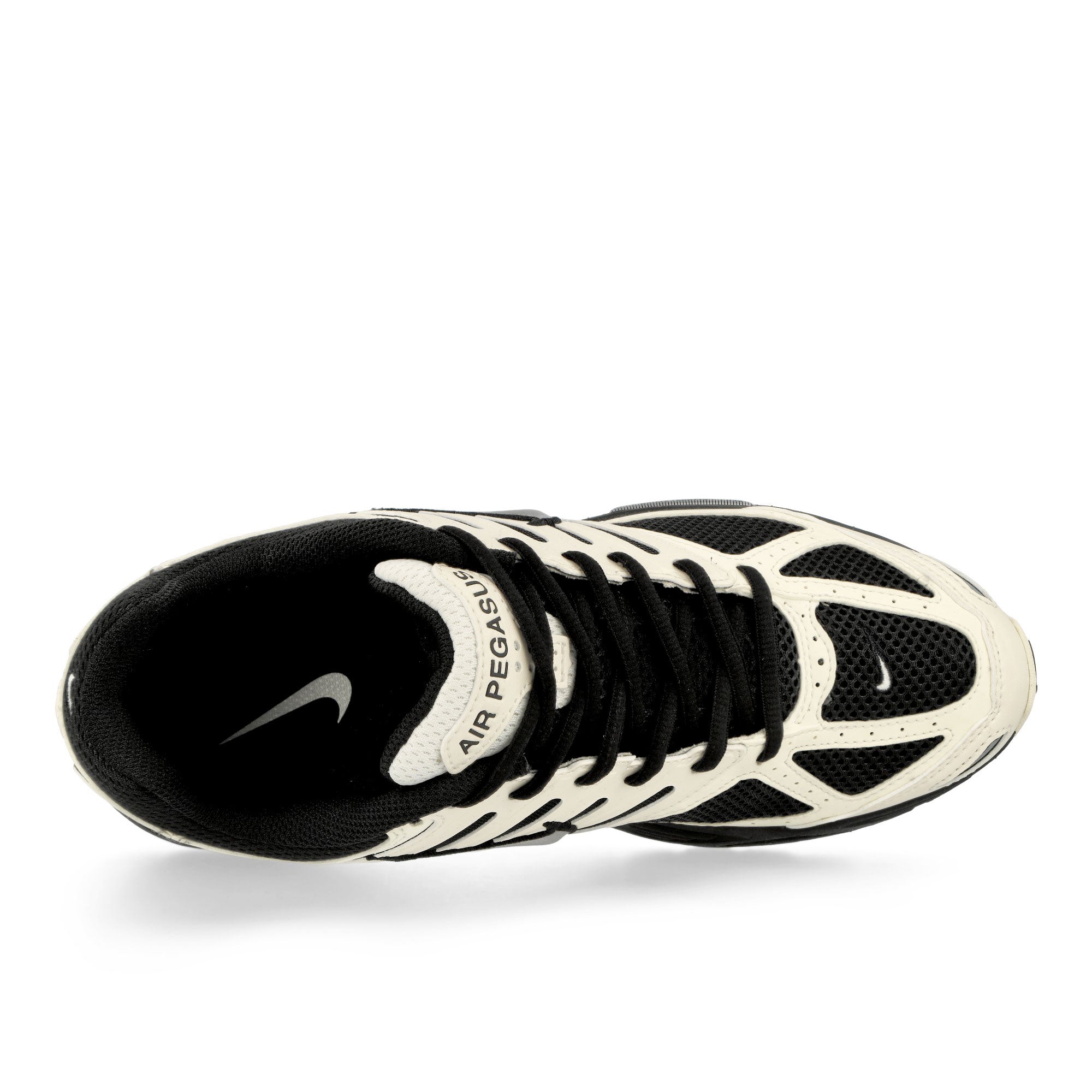 Nike<br>Air Pegasus 2005