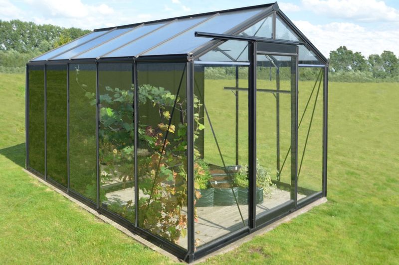 ACD - Prestige R205-2 - Tuinkas - Blackline - 2,32 x 3,71m met Berging
