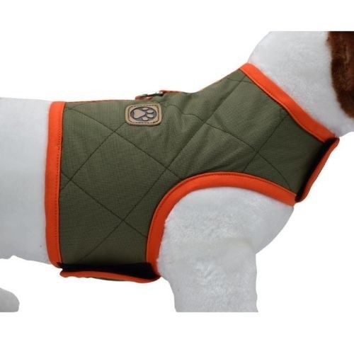 Coleira verde para cães da marca Loyal
