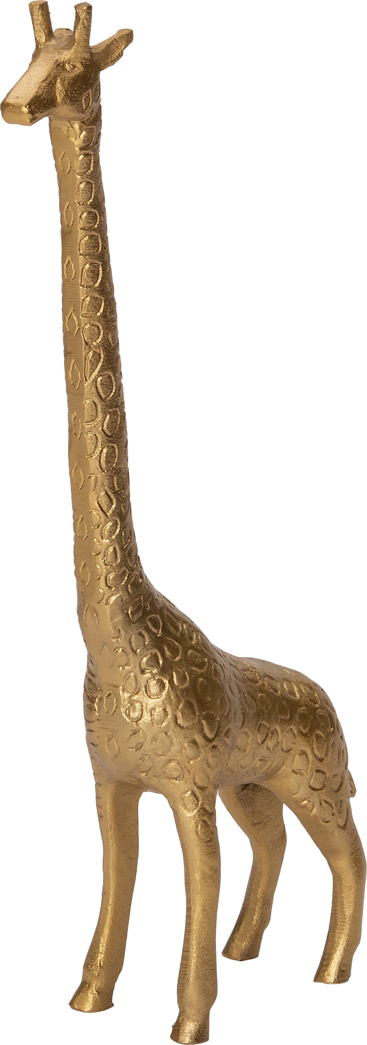 Intratuin beeld Giraf goud 16 x 7 x 43 cm