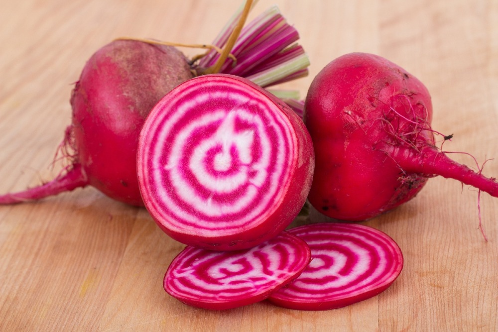Jardin dans le sac - bio - betterave - de chioggia - 70 graines - beta vulgaris