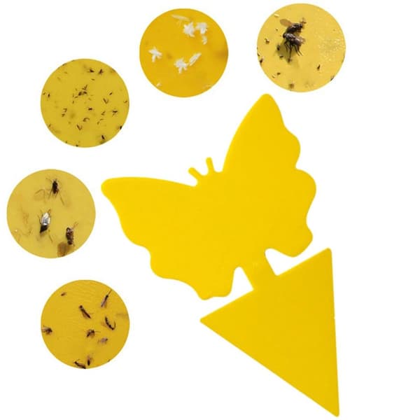 12x Insektsfeller til Planter