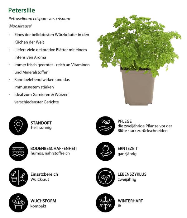Kräuter-Set Feinschmecker, 6-teilig