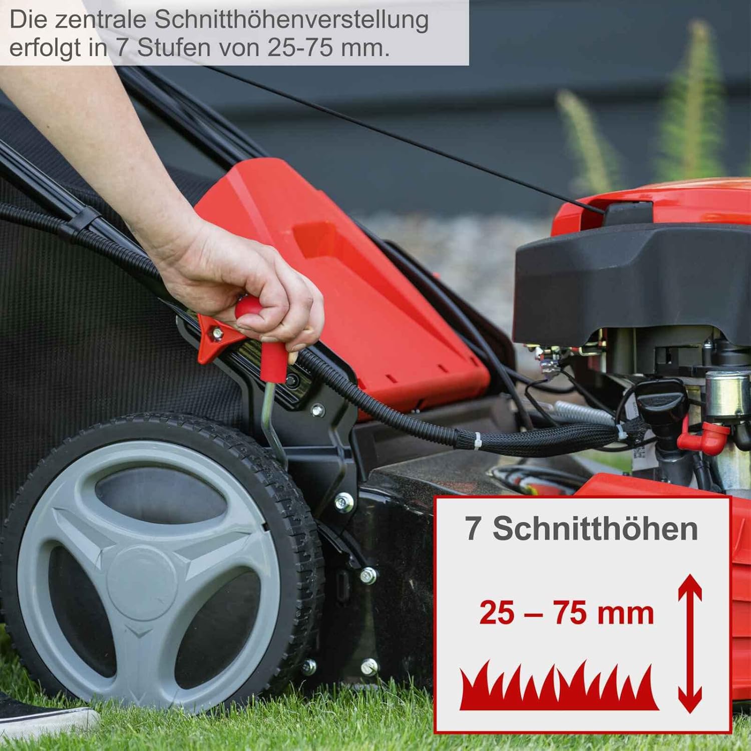 Scheppach Benzin Rasenmäher MS225-53E mit E-Start & Radantrieb | 6PS | 53 cm Schnittbreite | 7-fache Schnitthöhenverstellung | 65 Liter Fangkorb | Mulchfunktion | Reinigungsfunktion | inkl. Motoröl