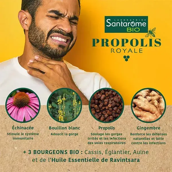 Xarope de Própolis Orgânico Santarome Bio Tripla Ação 125 ml