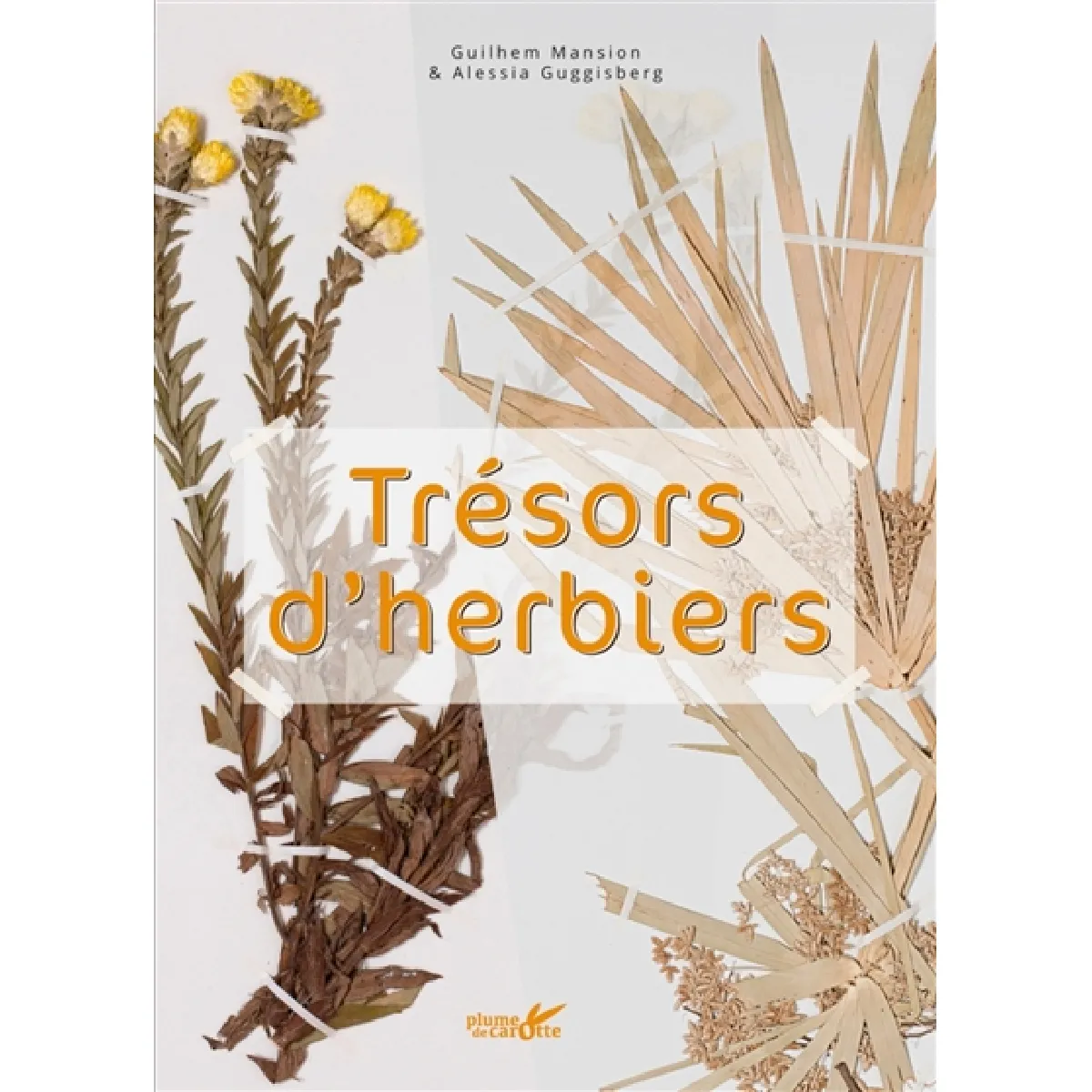 Trésors d'herbiers